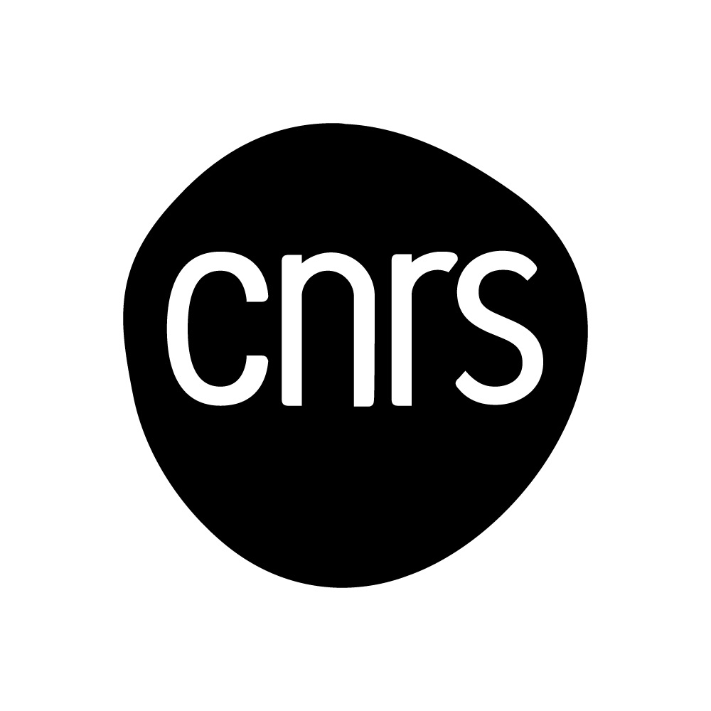 LOGO CNRS - 2X GRAPHIK